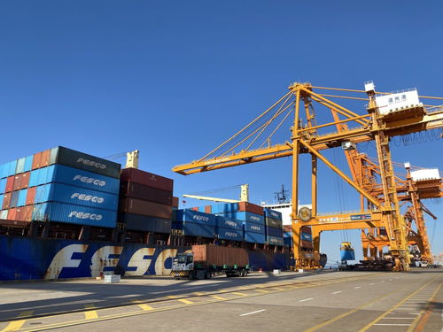 新華社聚焦 溫州 高水平開放助推高質(zhì)量發(fā)展