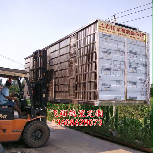 飛翔鴿籠 不銹鋼放飛籠 訓放籠 賽鴿籠 賽鴿集裝箱產(chǎn)品展示